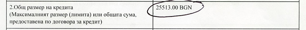 Стандартен европейски формуляр - обще размер на кредита
